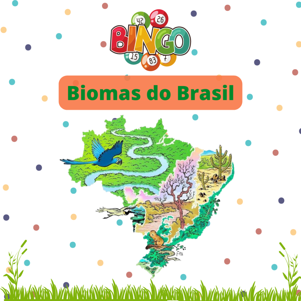 Atividade Sobre Biomas Brasileiros 7 Ano EDUKITA Descubra O Mundo